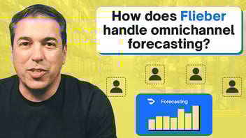 How Does Flieber Handle Omnichannel Forecasting?
