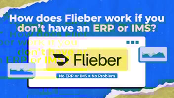 How Does Flieber Work If You Don’t Have an ERP or IMS?