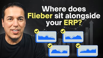Where Does Flieber Sit Alongside Your ERP?