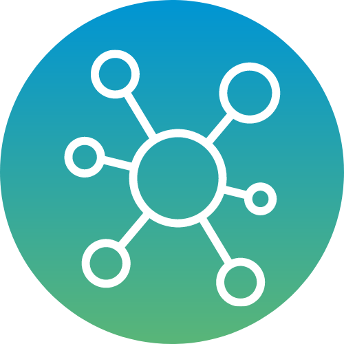 Icon - Native Int