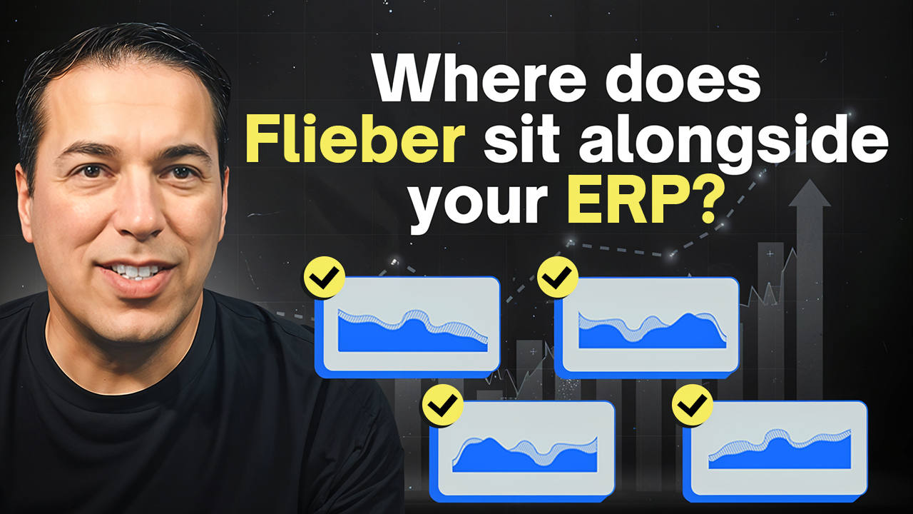 Where Does Flieber Sit Alongside Your ERP?
